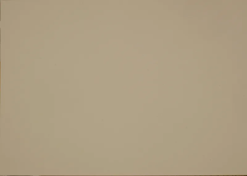 Beige Luxor